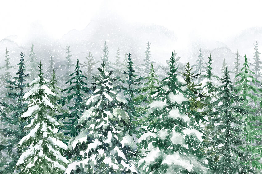 Winter Pine Trees Forest Snow Scenery Backdrop UK M7-43