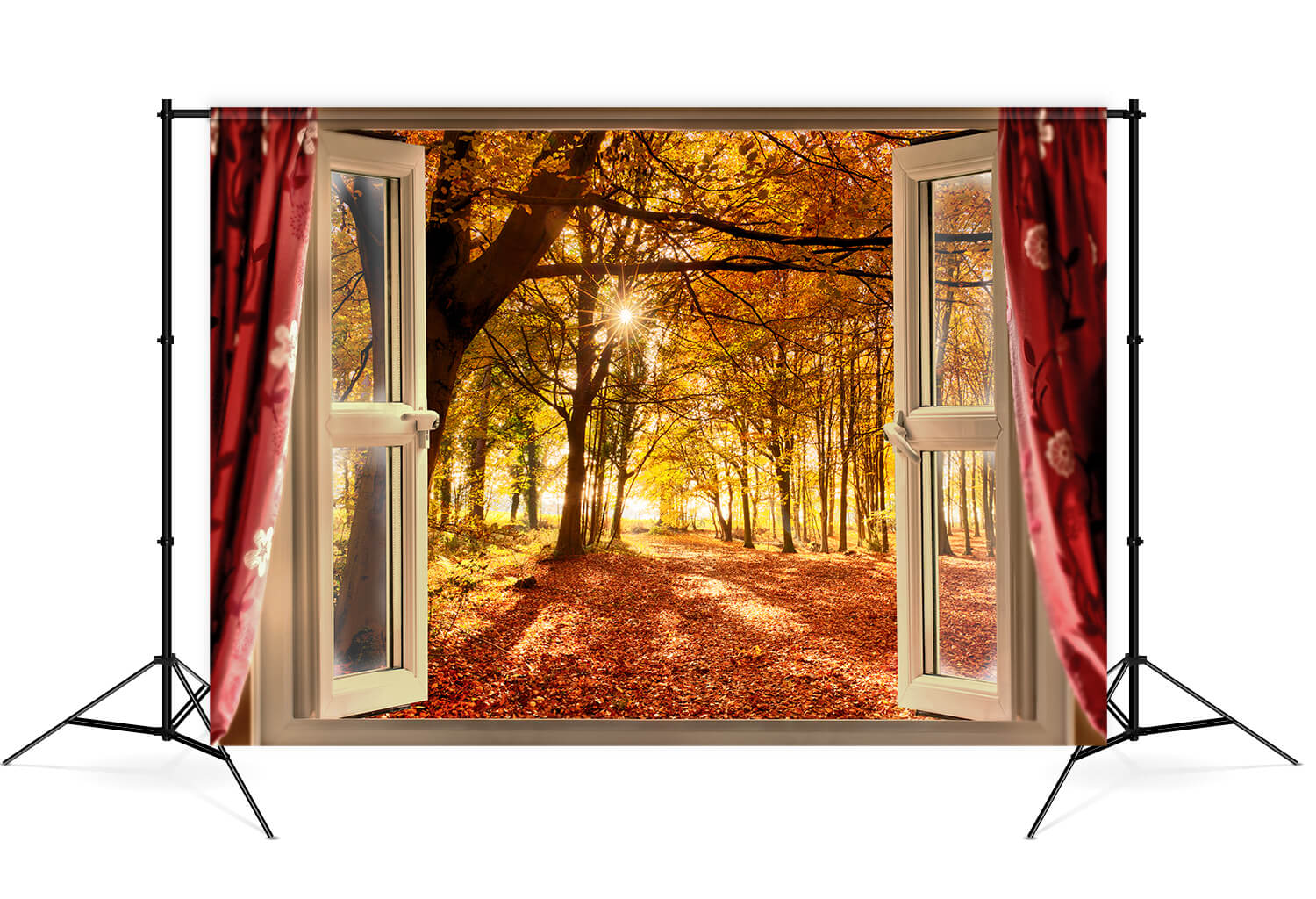 Autumn Forest Sunrise Window Landscape Backdrop UK M7-81