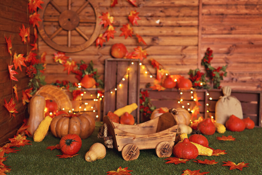 Thanksgiving Pumpkins Autumn Photography Backdrop UK M7-82