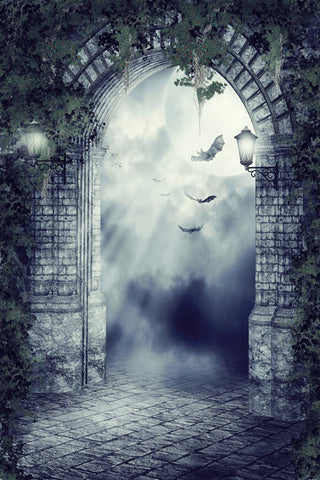 Gothic Gate Bats Moon Night Halloween Backdrop UK M8-02