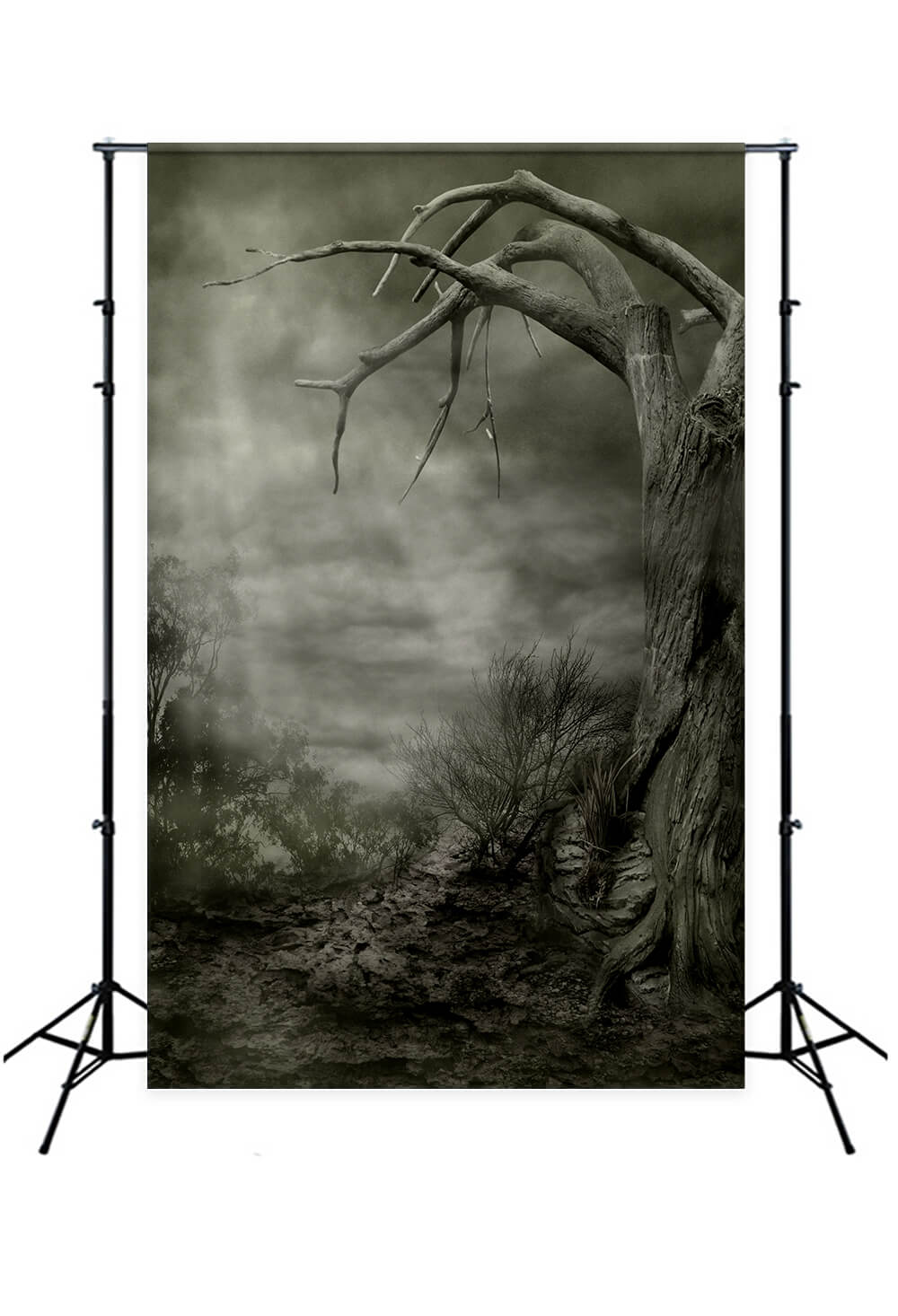 Spooky Scenery Dead Trees Halloween Backdrop UK M8-03