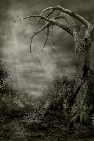 Spooky Scenery Dead Trees Halloween Backdrop UK M8-03