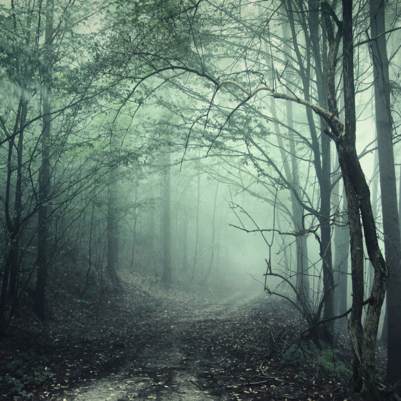 Mysterious Forest Foggy Path Halloween Backdrop UK M8-09