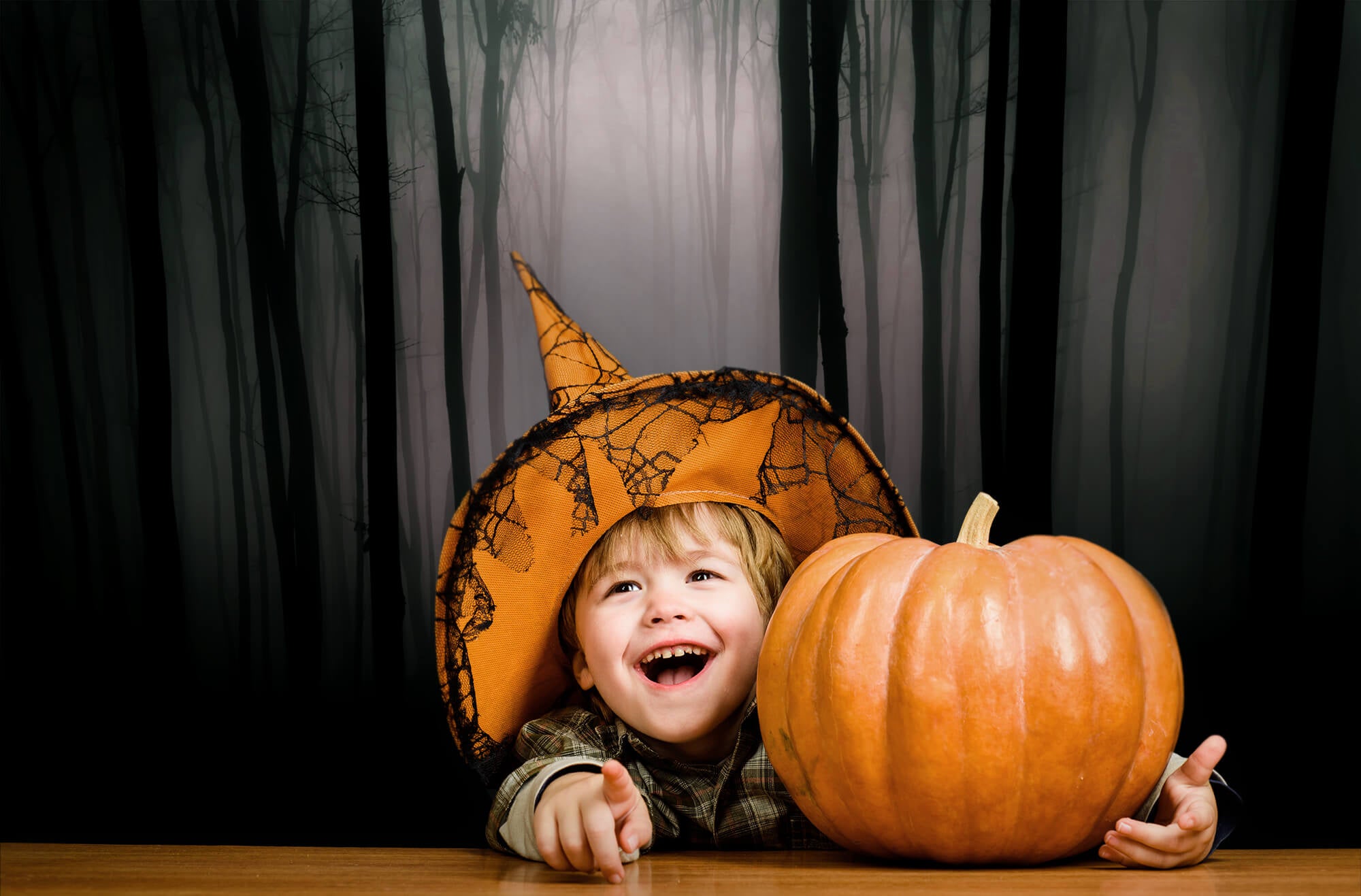 Halloween Dark Gloomy Night Forest Backdrop UK M8-10