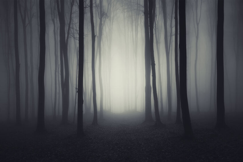 Halloween Dark Gloomy Night Forest Backdrop UK M8-10