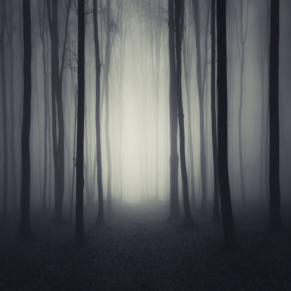 Halloween Dark Gloomy Night Forest Backdrop UK M8-10