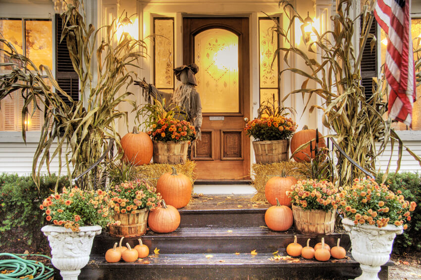 Thanksgiving Pumpkins Crops Straw Backdrop UK M8-11