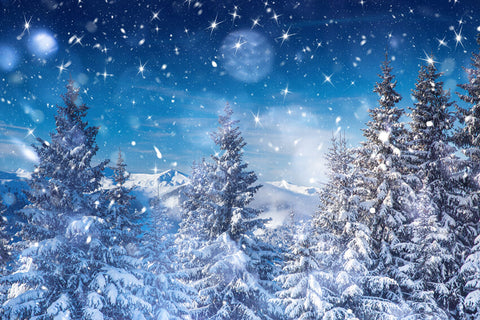 Starry Sky In Winter Snowy Night Backdrop UK M8-17