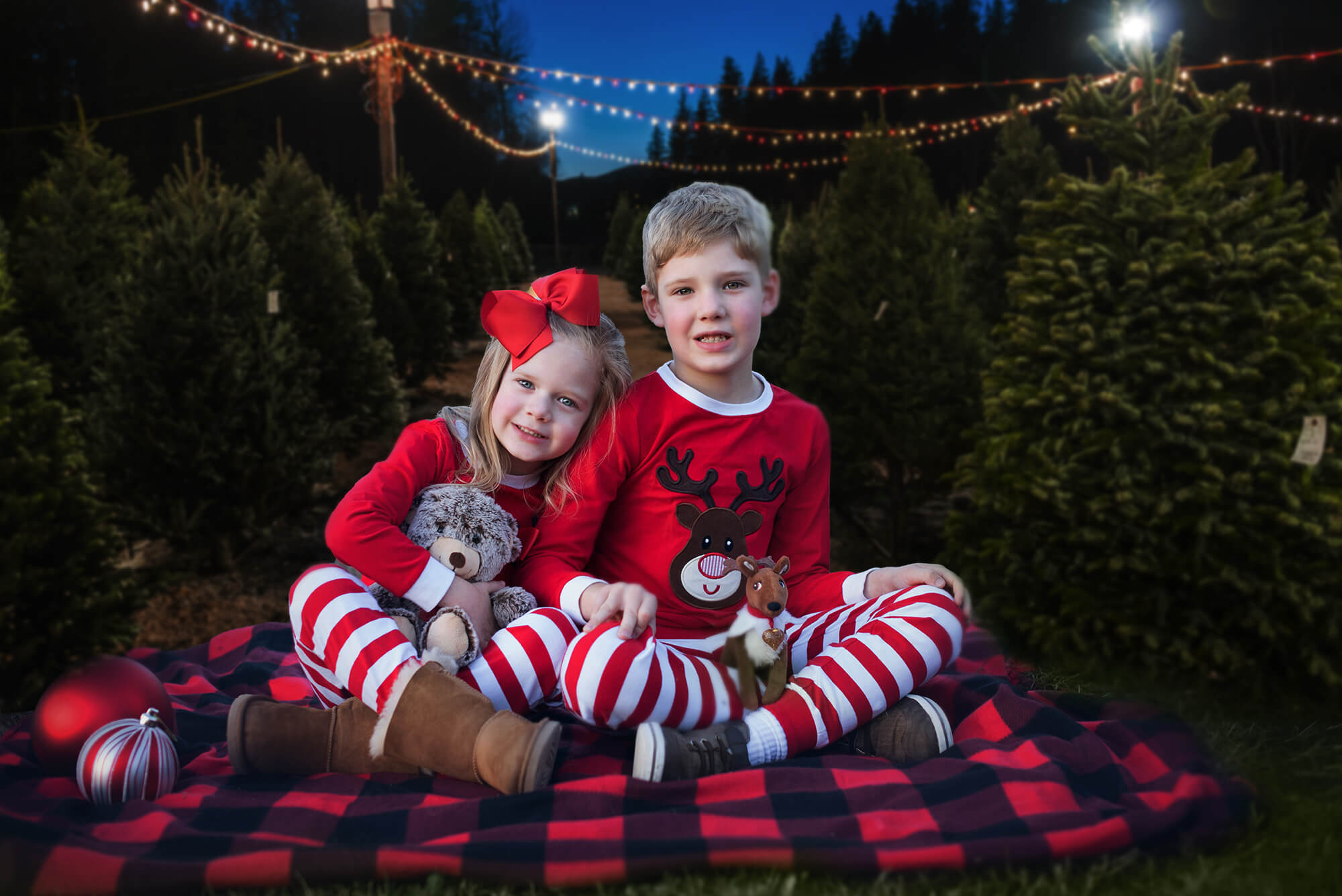 Night Christmas Tree Farm Photography Backdrop UK M8-21