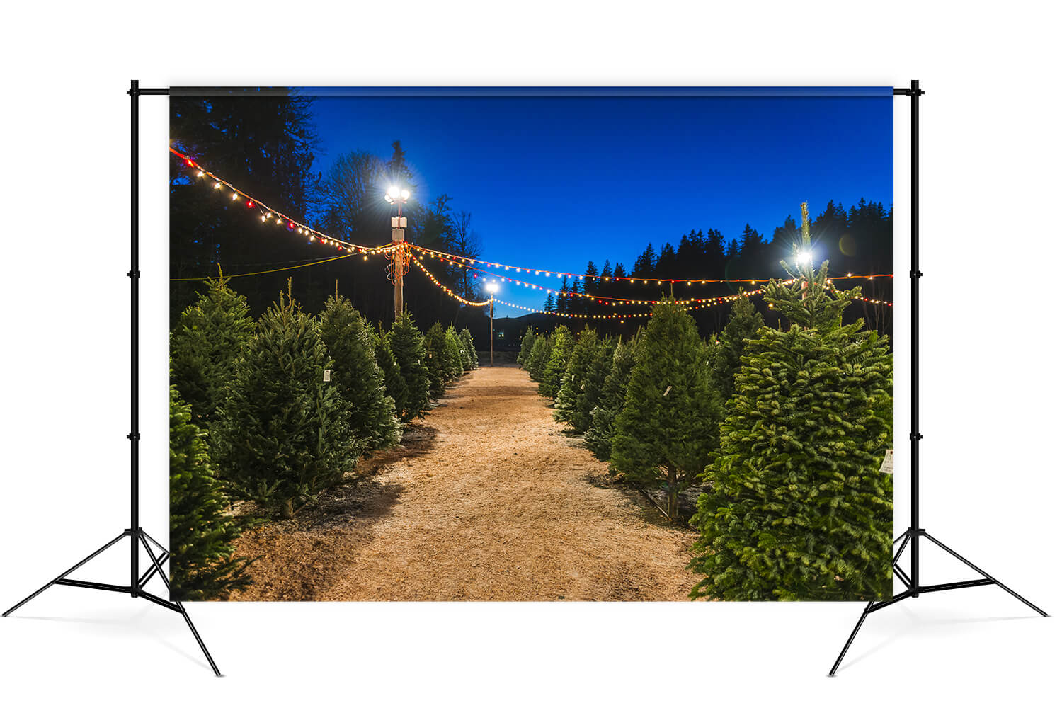 Night Christmas Tree Farm Photography Backdrop UK M8-21