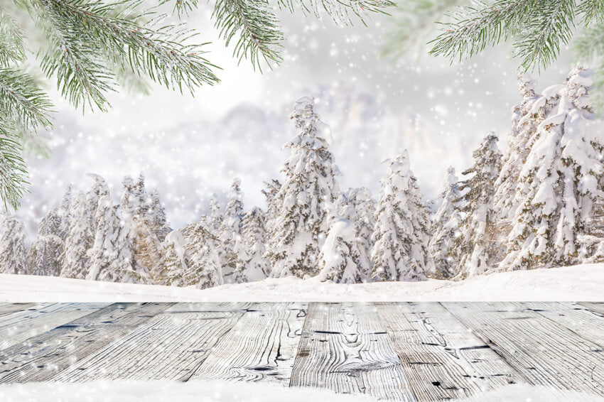 Winter Snowy Forest Wooden Planks Backdrop UK M8-26