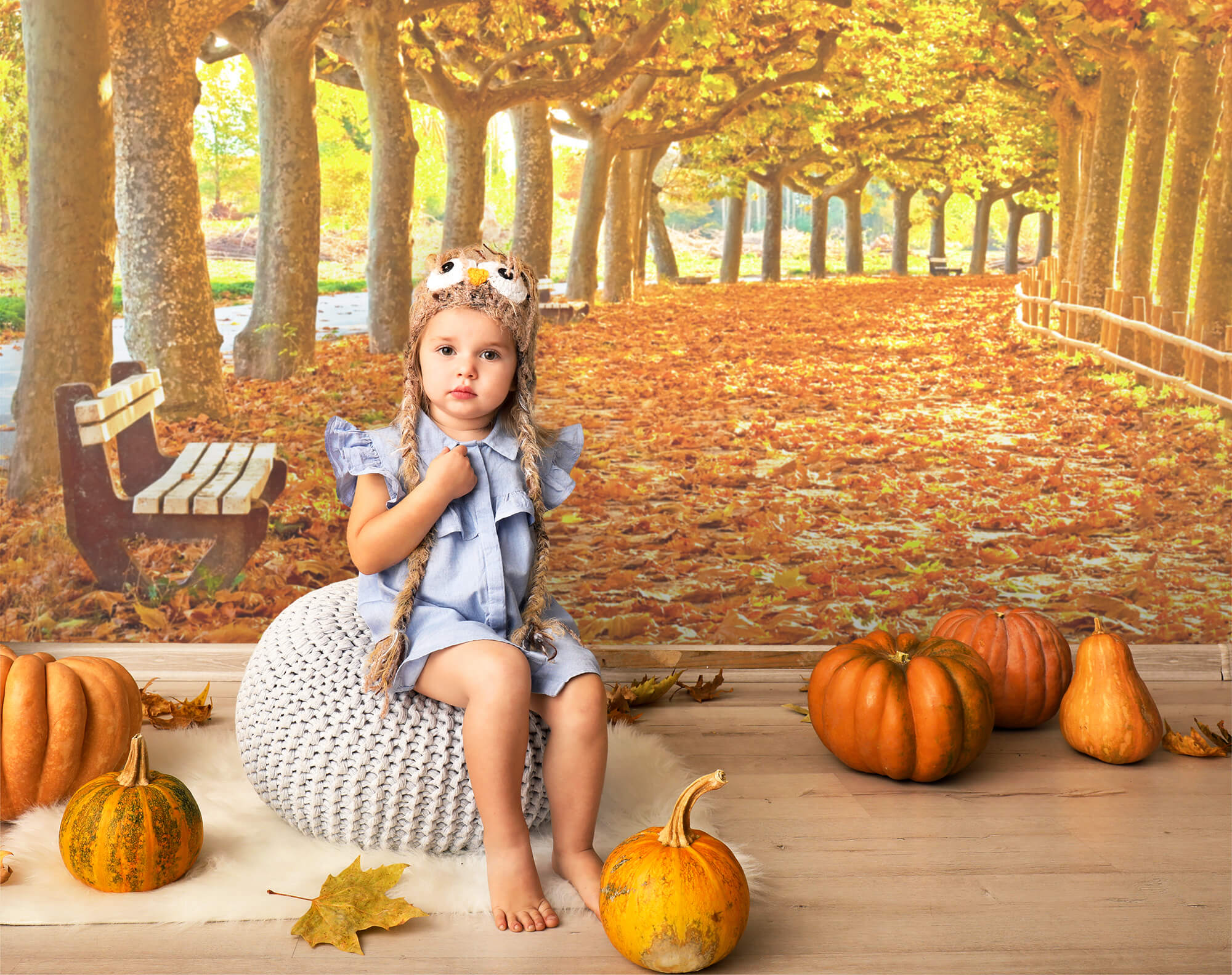 Autumn Maple Leaves Path Photography Backdrop UK M8-29