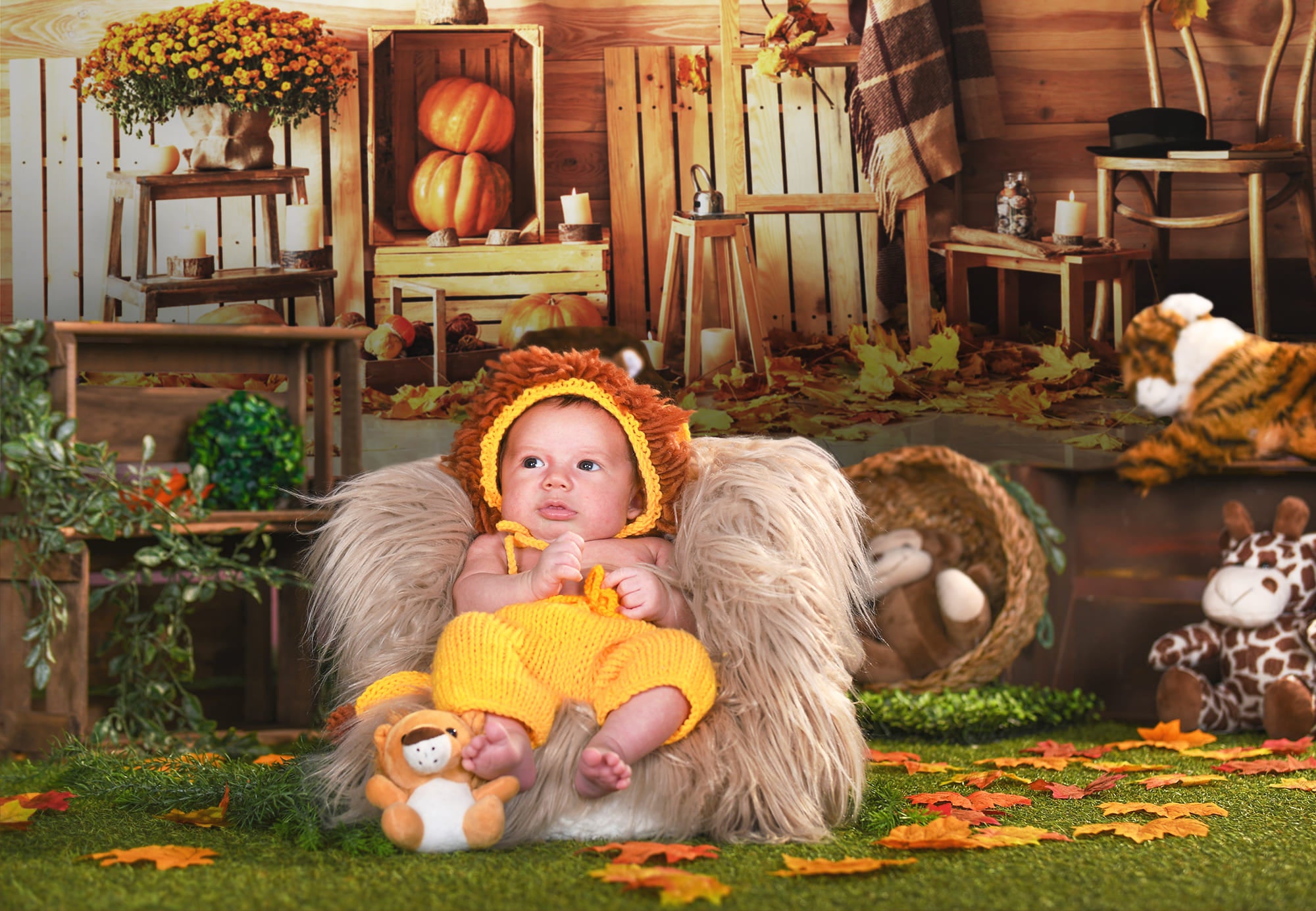 Autumn Harvest Pumpkins Photography Backdrop UK M8-32