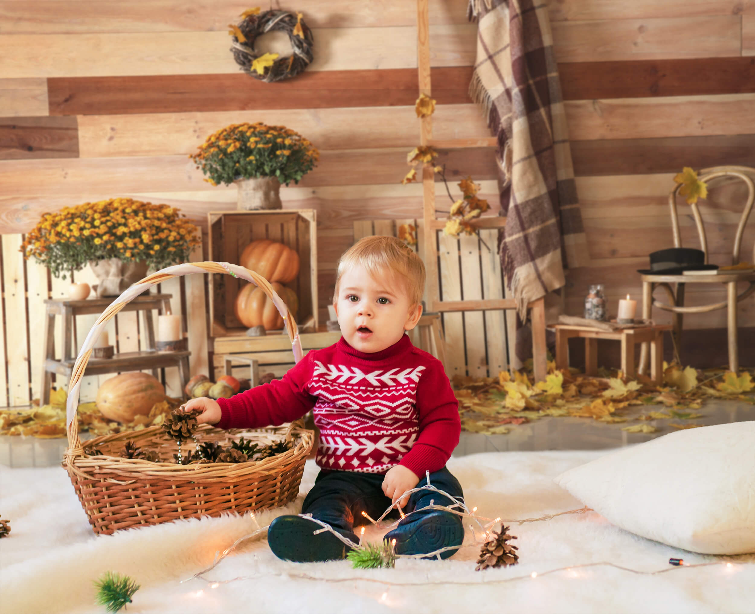 Autumn Harvest Pumpkins Photography Backdrop UK M8-32