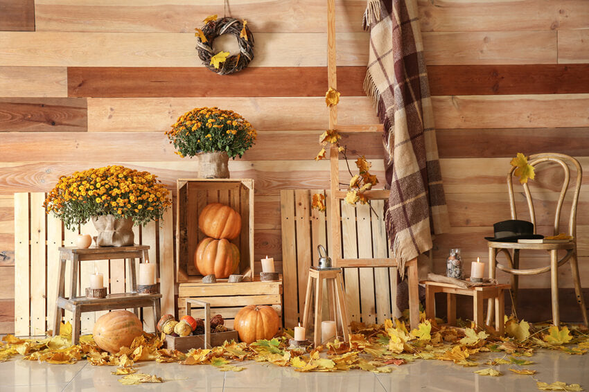 Autumn Harvest Pumpkins Photography Backdrop UK M8-32