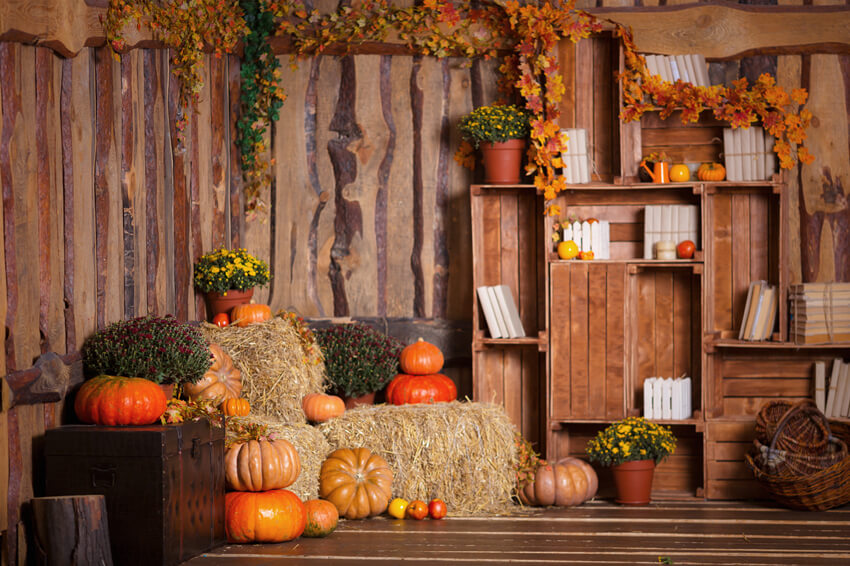 Haystack Pumpkin Maple Leaves Autumn Backdrop UK M8-33