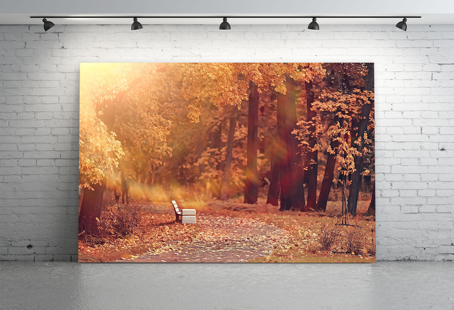 Autumn Park Maple Tree Leaves Backdrop UK M8-34