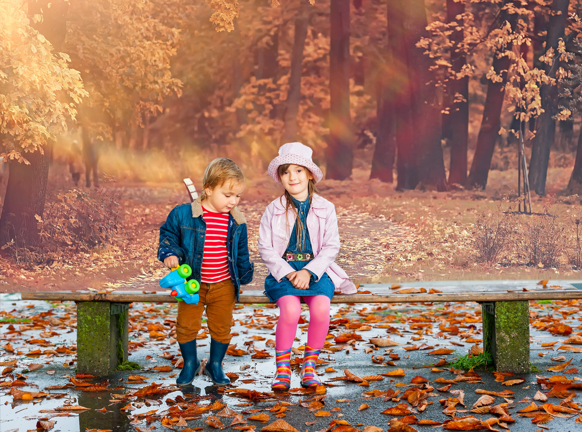 Autumn Park Maple Tree Leaves Backdrop UK M8-34