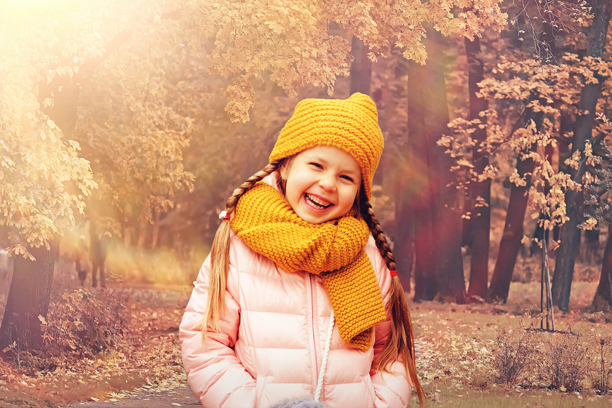 Autumn Park Maple Tree Leaves Backdrop UK M8-34