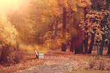 Autumn Park Maple Tree Leaves Backdrop UK M8-34
