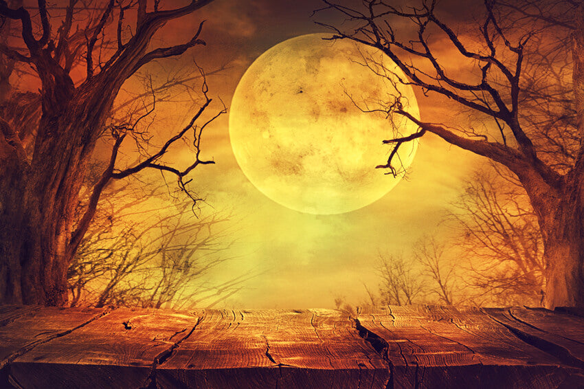 Halloween Brown Moon Scary Scenery Backdrop UK M8-47