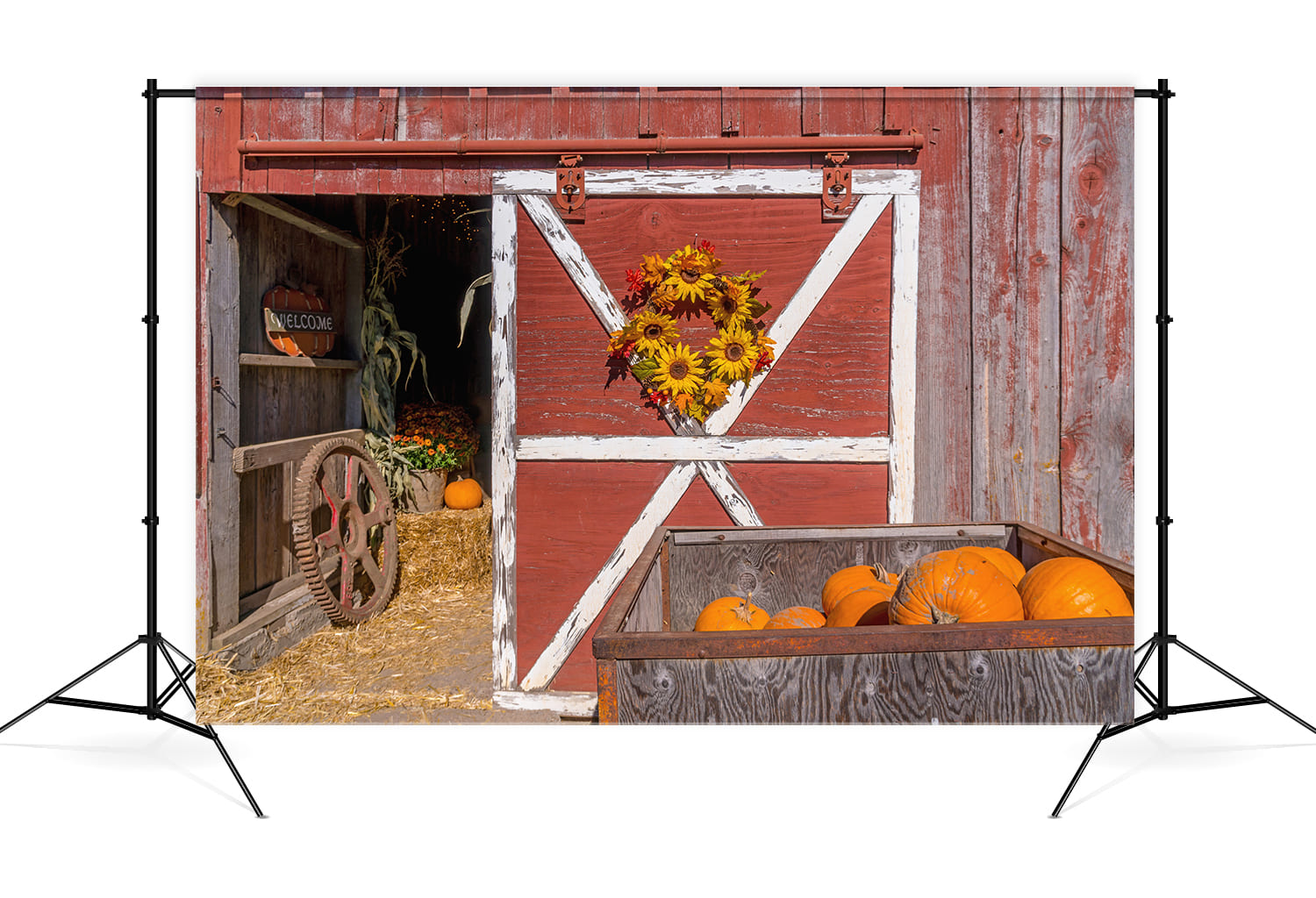 Red Barn Pumpkin Harvest Thanksgiving Backdrop UK M8-51