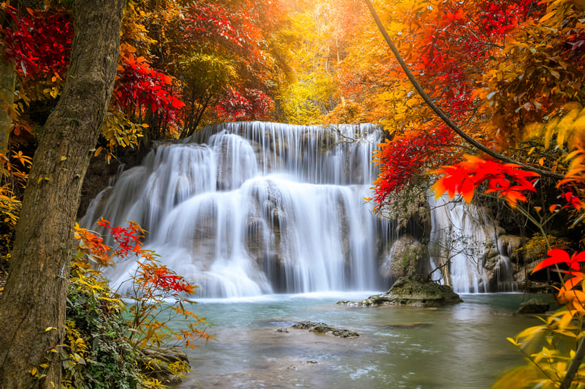 Maple Leaves Waterfall Autumn Landscape Backdrop UK M8-52