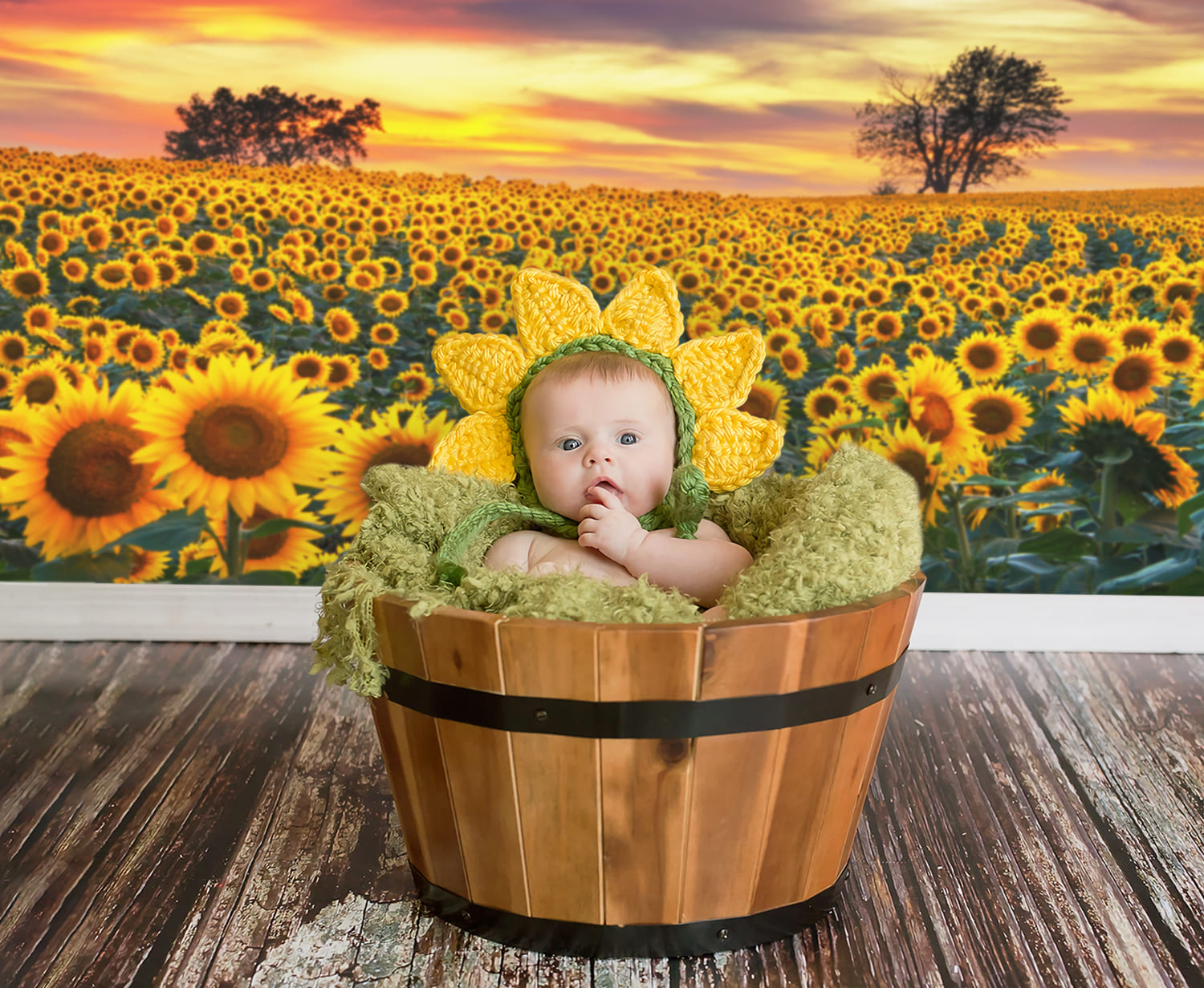 Sunflower Farm Field Photography Backdrop UK M8-53