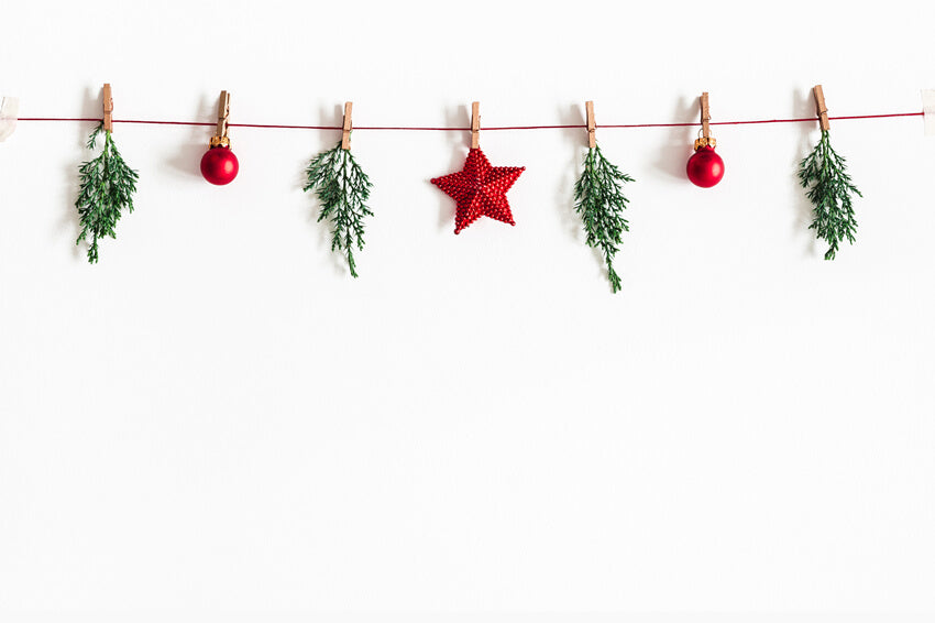 Christmas Garland Photography Decoration Backdrop UK M8-81