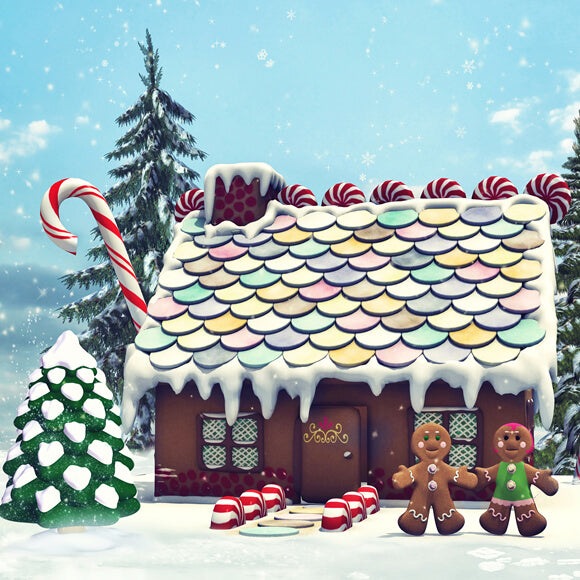 Christmas Gingerbread House Photography Backdrop UK M9-23