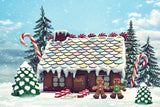 Christmas Gingerbread House Photography Backdrop UK M9-23
