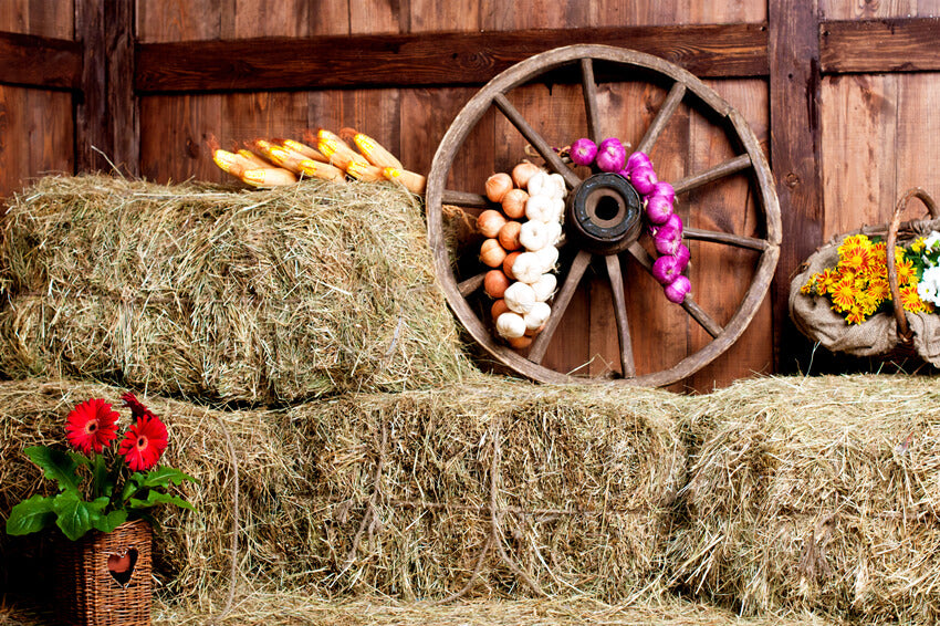 Old Rural Wooden Warehouse Farm Backdrop UK M9-28