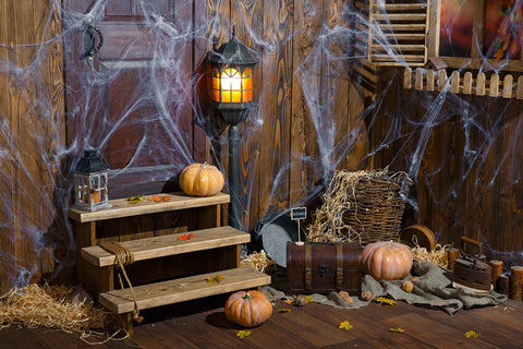 Old Wood Room Spider Web Halloween Backdrop UK M9-34