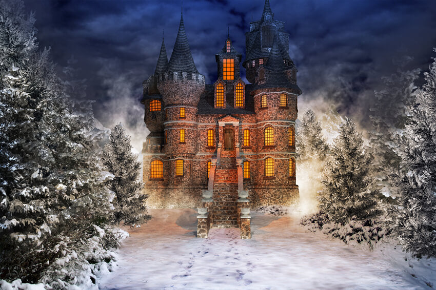 Winter Snowy Forest Fairytale Castle Backdrop UK M9-40