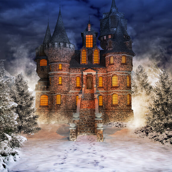 Winter Snowy Forest Fairytale Castle Backdrop UK M9-40