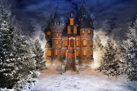 Winter Snowy Forest Fairytale Castle Backdrop UK M9-40