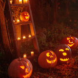 Halloween Horror Forest Pumpkin Ghost Backdrop UK M9-46