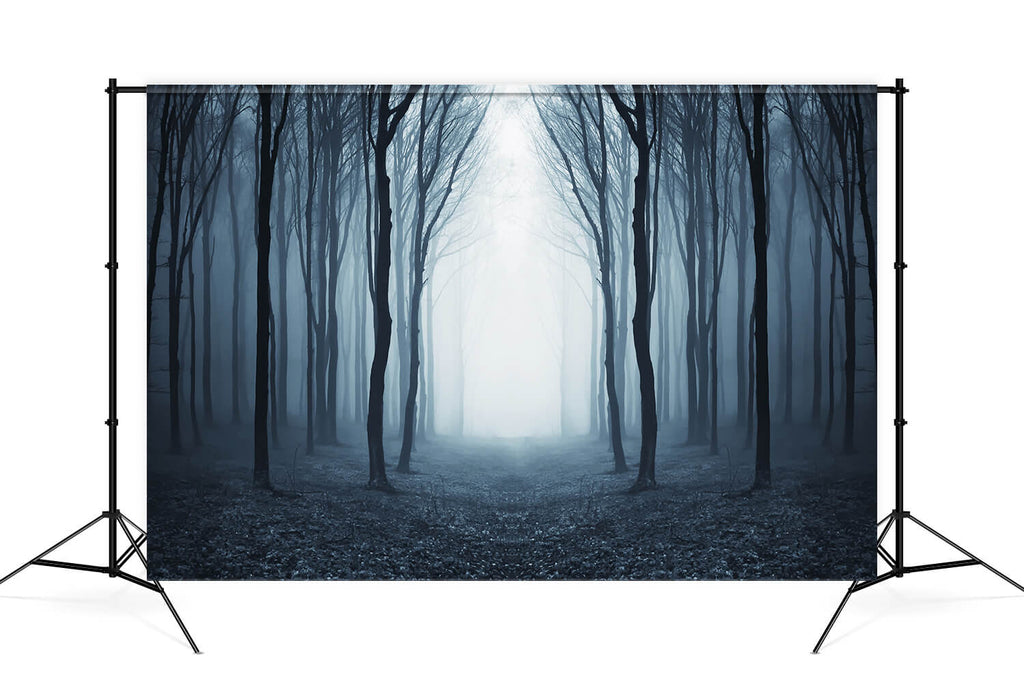 Mysterious Foggy Forest Halloween Backdrop M9-56
