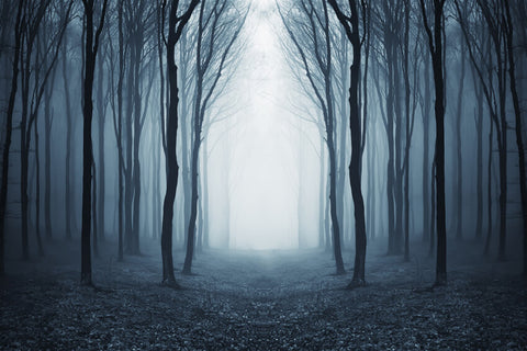 Mysterious Foggy Forest Halloween Backdrop M9-56