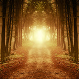 Autumn Forest Afterglow Fallen Leaves Backdrop UK M9-58