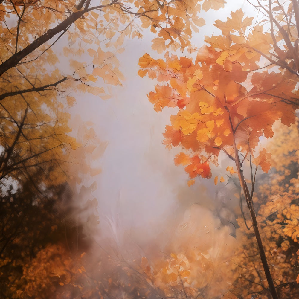 Fall Backdrop Golden Autumn Leaves Autumn Photo Backdrop UK MRR10-55