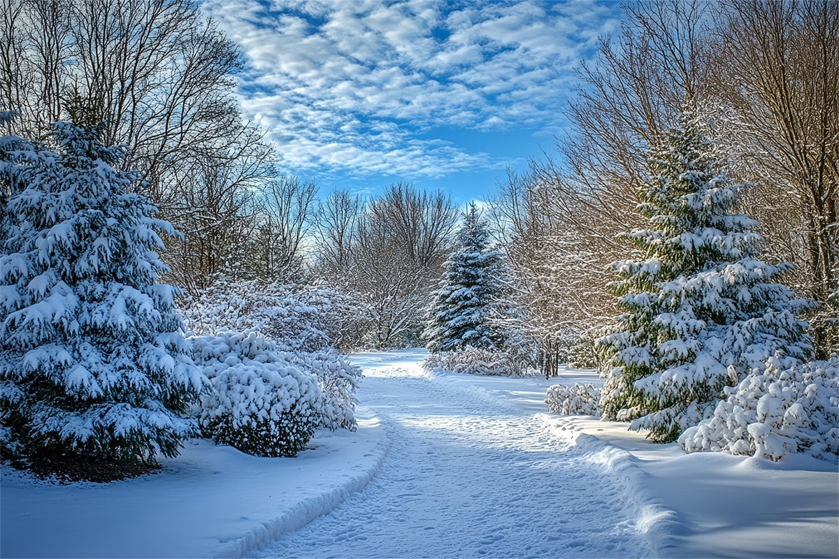 Winter Backdrops Clear Sky Snow Path Backdrop UK MRR7-151