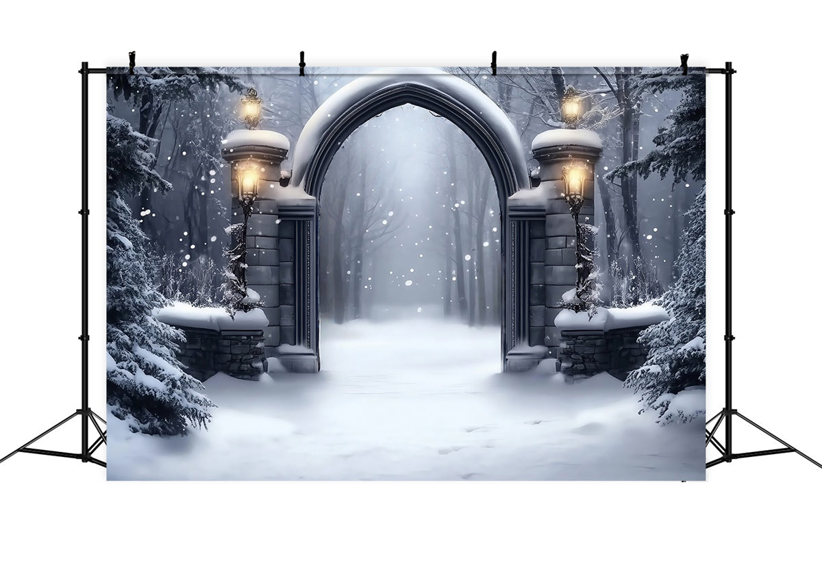 Winter Snow Backdrop Gothic Snow Gate Backdrop UK MRR7-152
