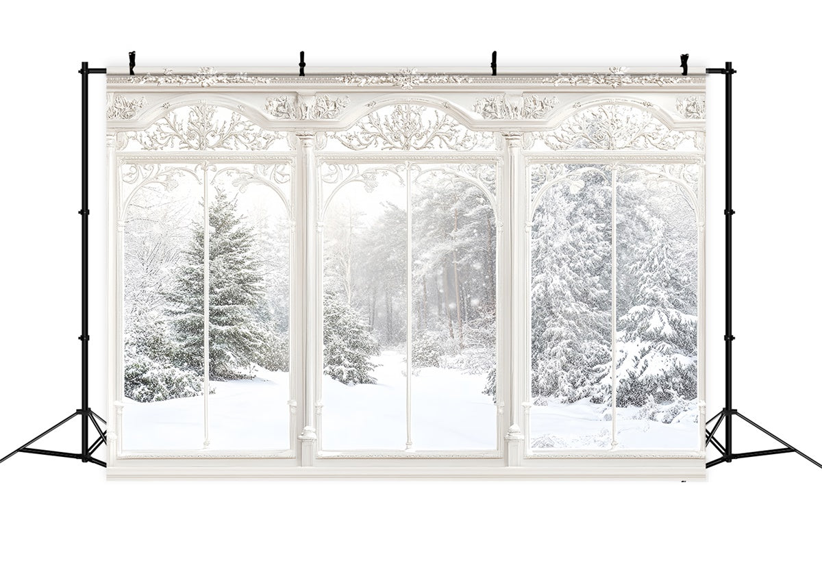 Winter Backdrop Ornate Winter Window View Backdrop UK MRR7-159