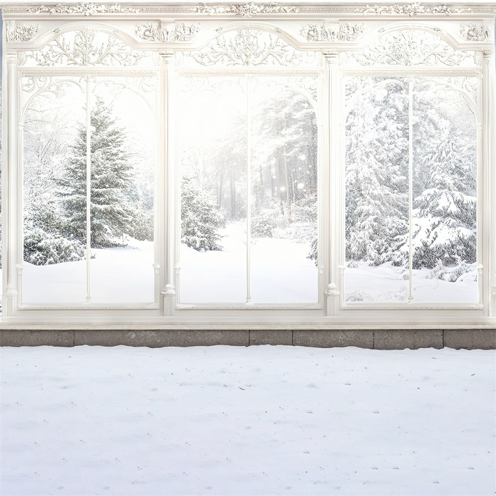 Winter Backdrop Ornate Winter Window View Backdrop UK MRR7-159
