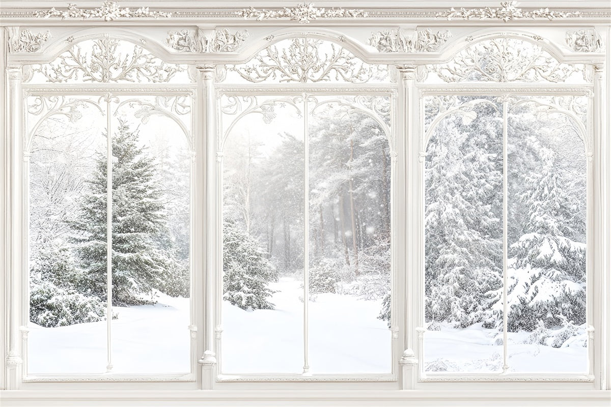 Winter Backdrop Ornate Winter Window View Backdrop UK MRR7-159