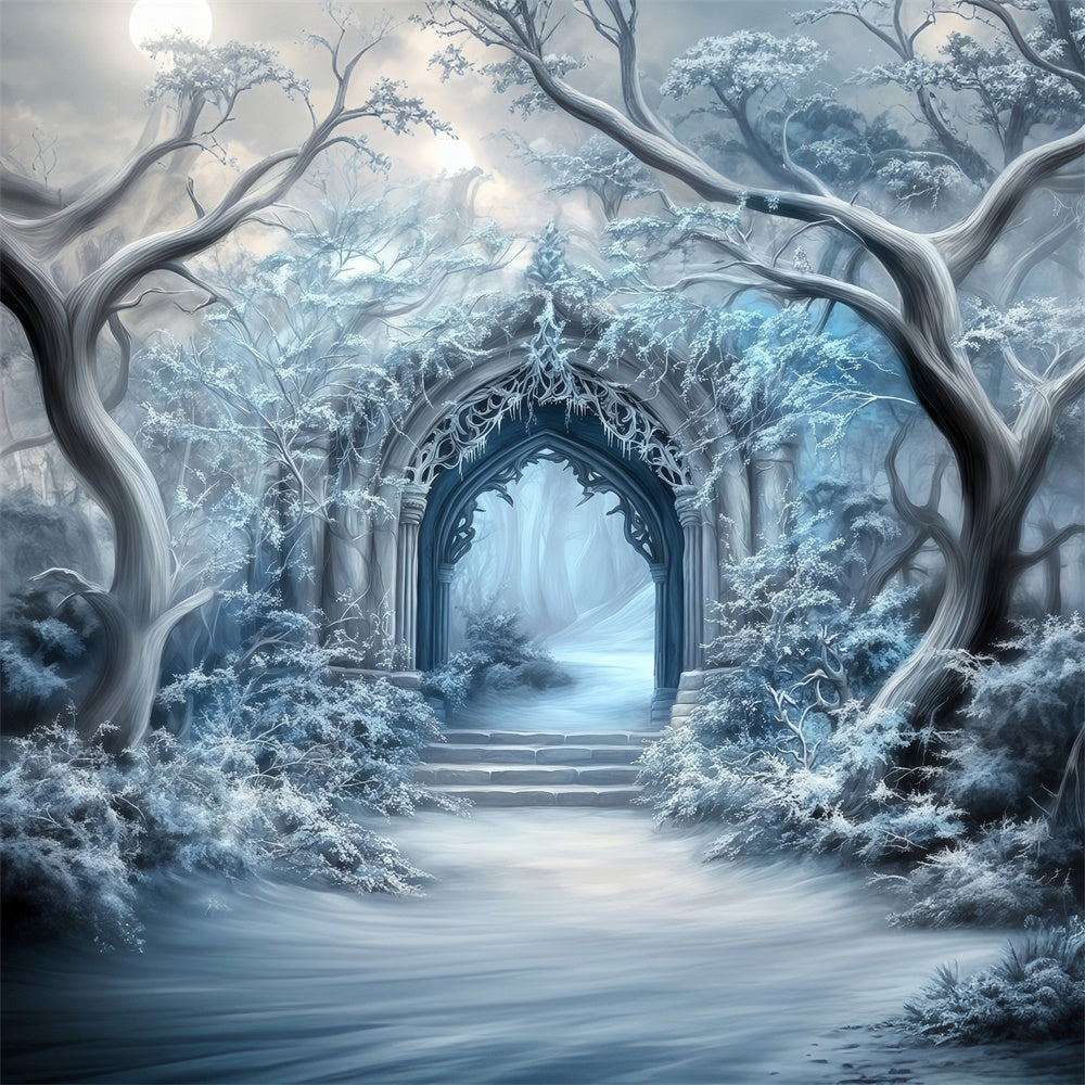 Winter Wonderland Backdrop Frosted Gothic Gateway Backdrop UK MRR7-160