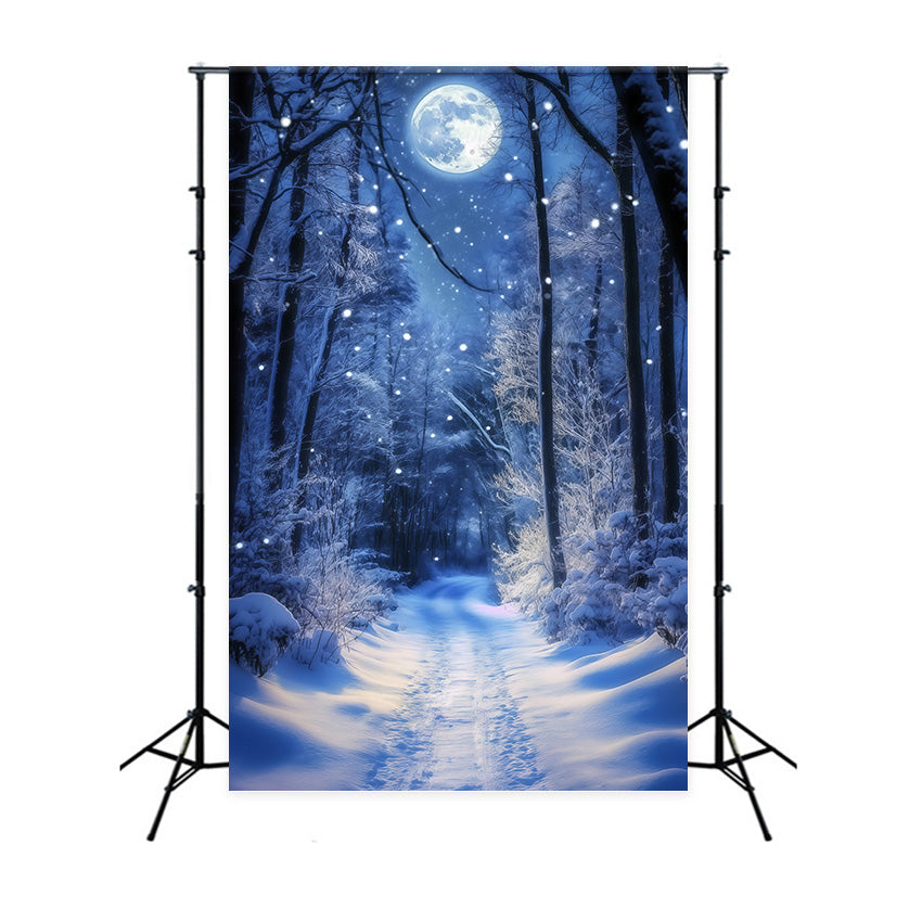 Winter Forest Backdrop Glowing Moon Trail Backdrop UK MRR7-180