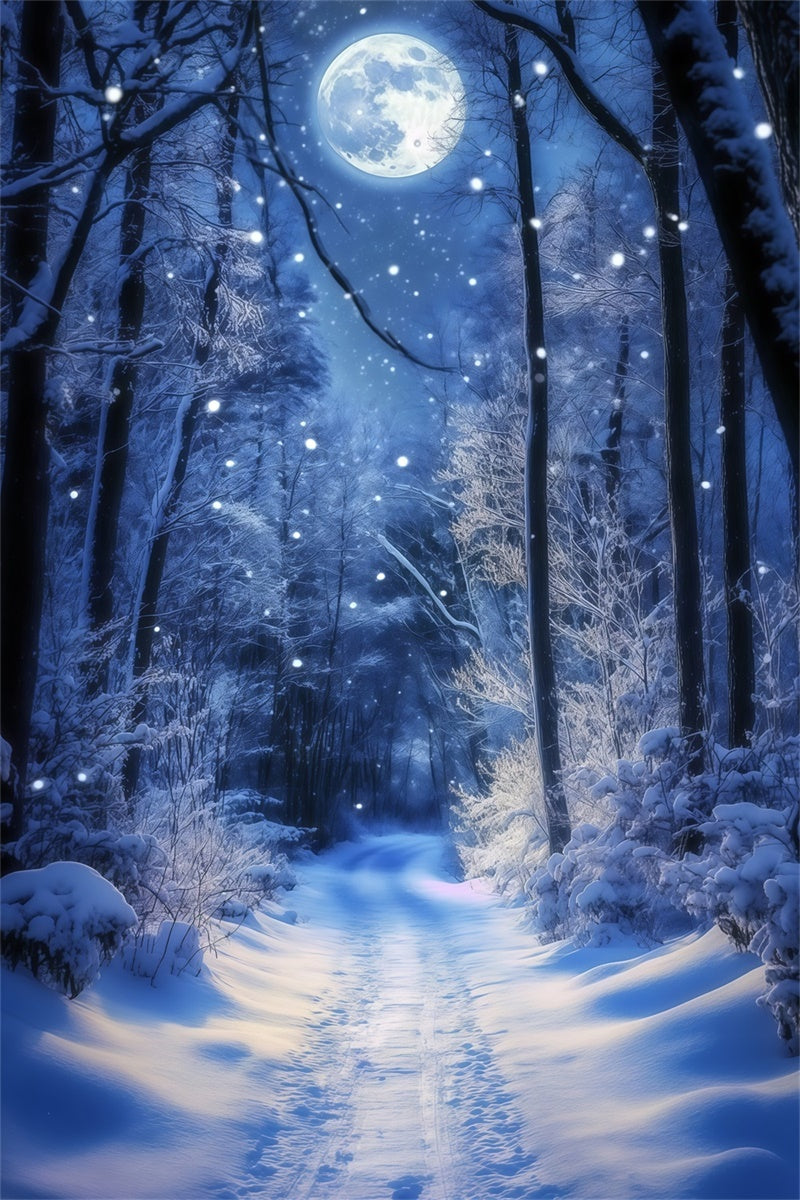 Winter Forest Backdrop Glowing Moon Trail Backdrop UK MRR7-180