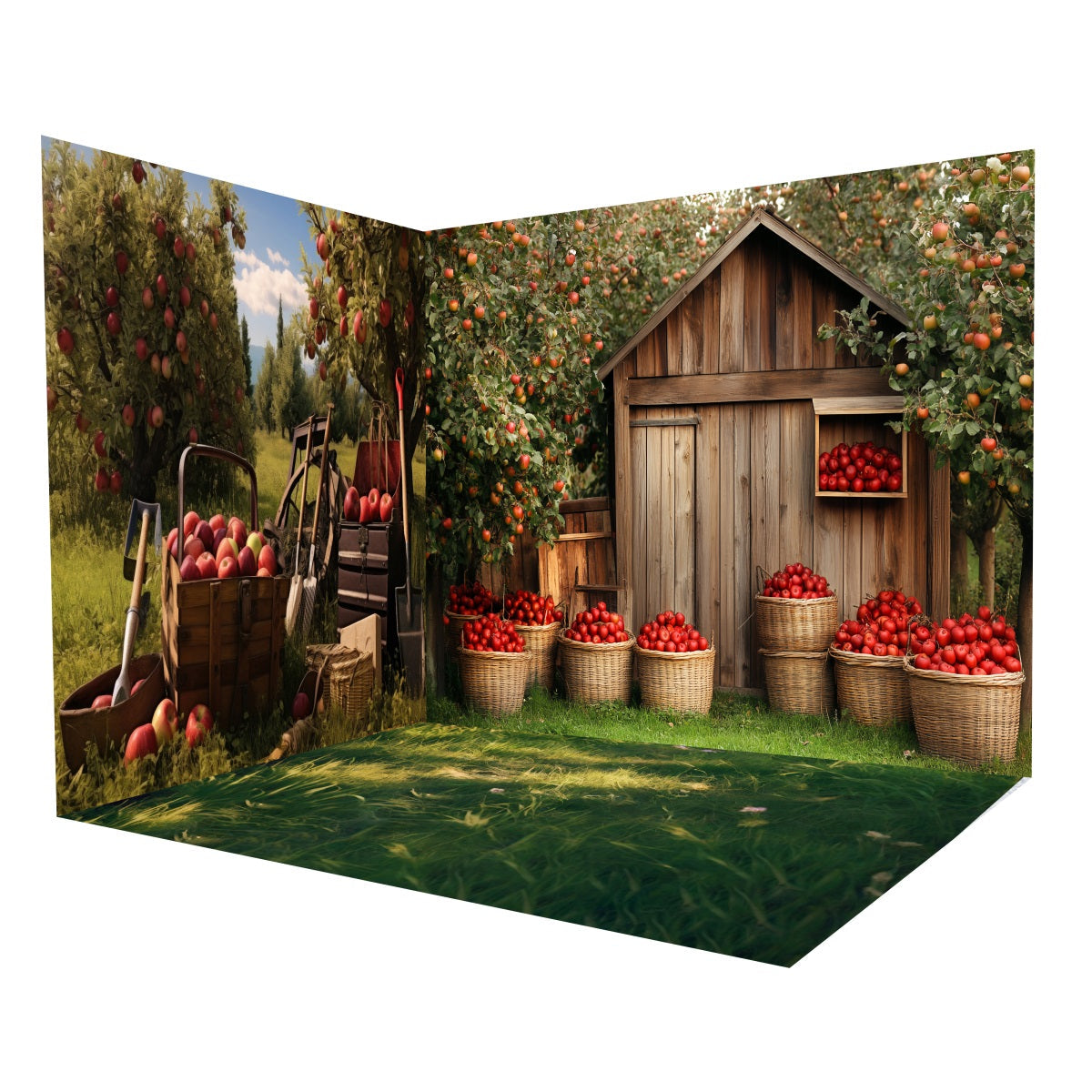 Fall Backdrop Apple Orchard Wooden Shed Backdrop Room Set UK MRR8-216